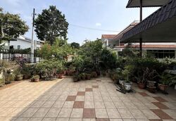 Kimnan Park (D14), Terrace #628319781